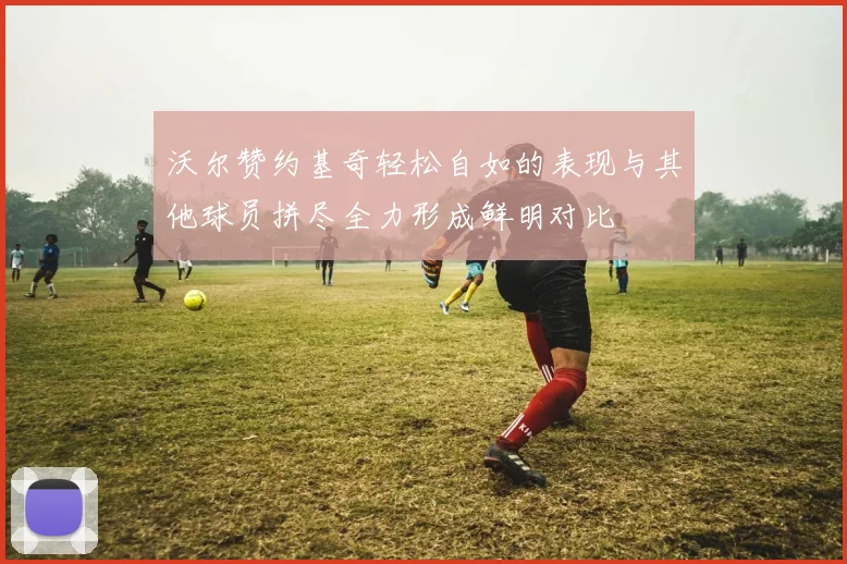 沃尔赞约基奇轻松自如的表现与其他球员拼尽全力形成鲜明对比