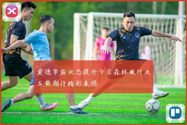 爱德华兹状态提升今日森林狼对决灰熊期待精彩表现