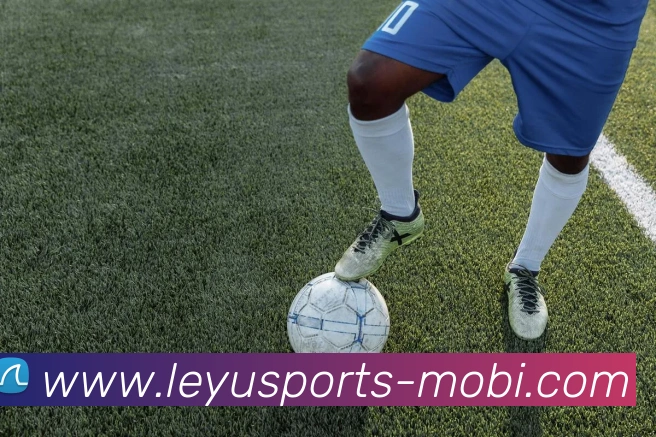 乐鱼体育APP 封面图