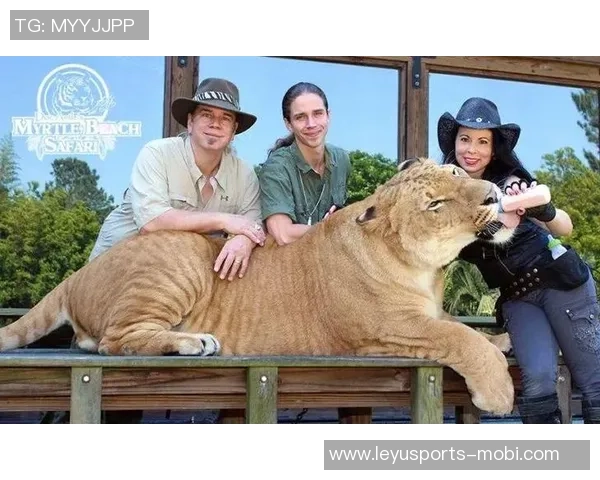 媒体人揭秘祖马与泰山传闻背后的推荐原因及薪资伤病隐患分析 媒体人揭秘祖马与泰山传闻背后的推荐原因及薪资伤病隐患分析